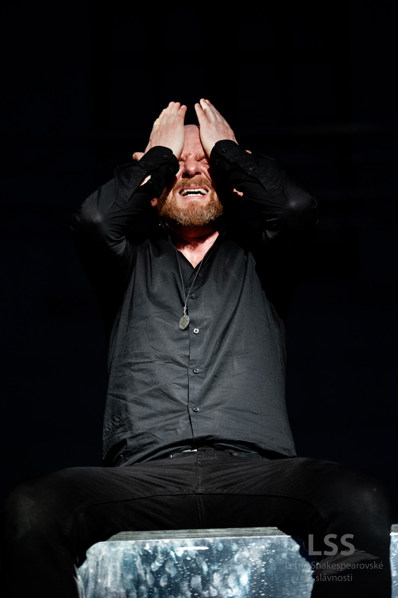 Hamlet - fotografia 1