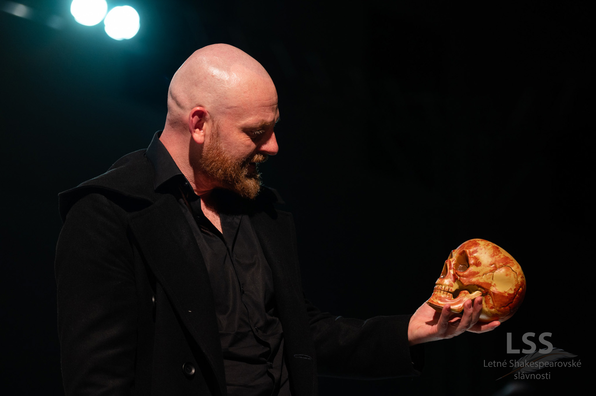 Hamlet - fotografia 15
